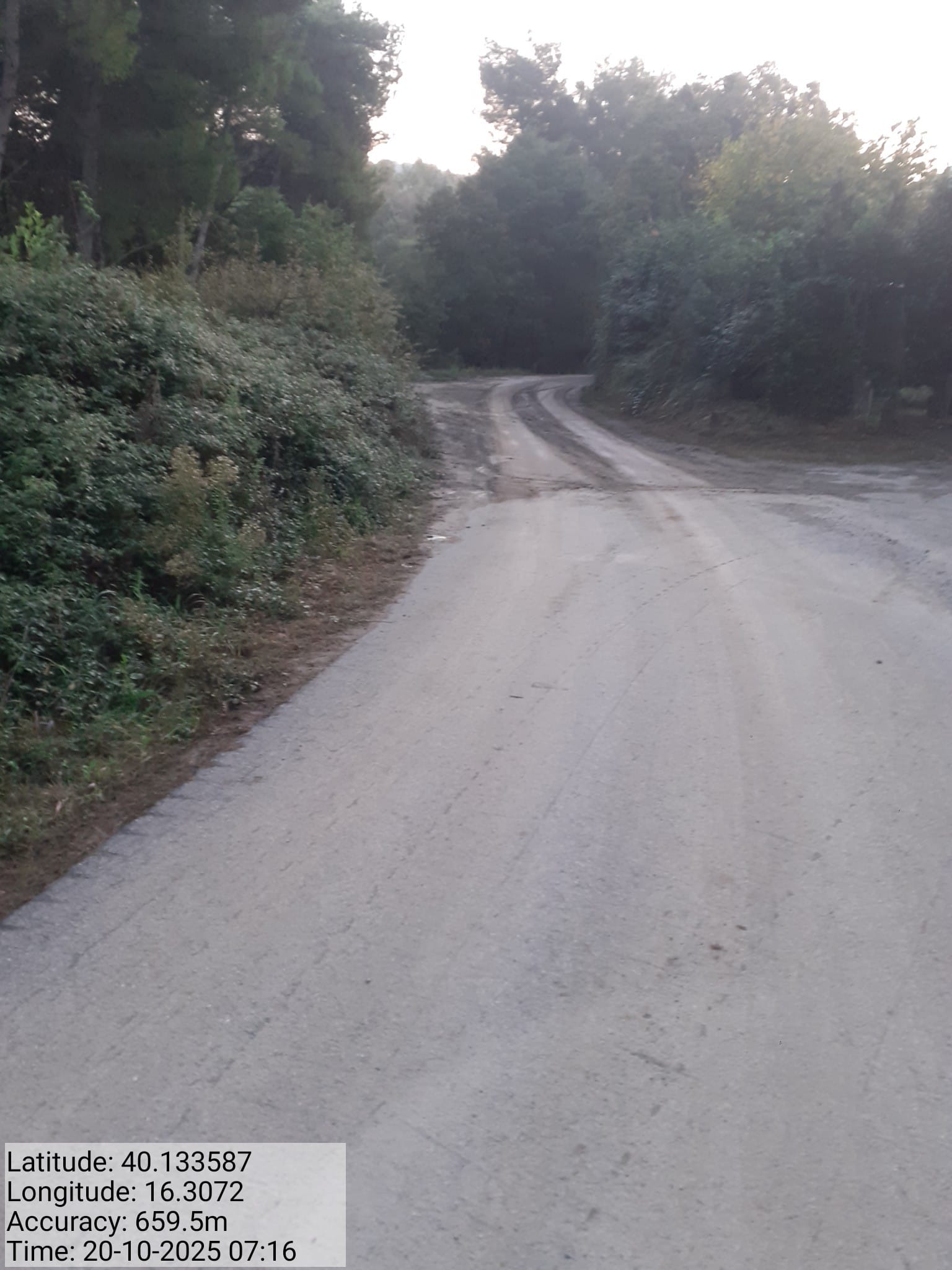 Galleria Fotografica Immagine