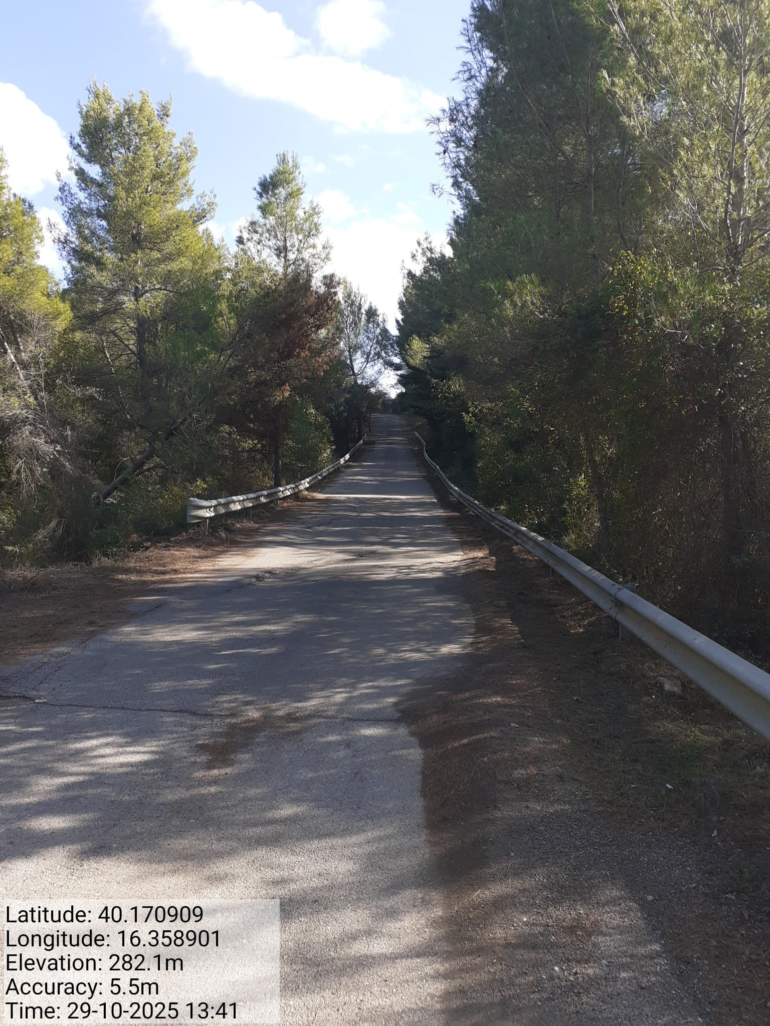 Galleria Fotografica Immagine