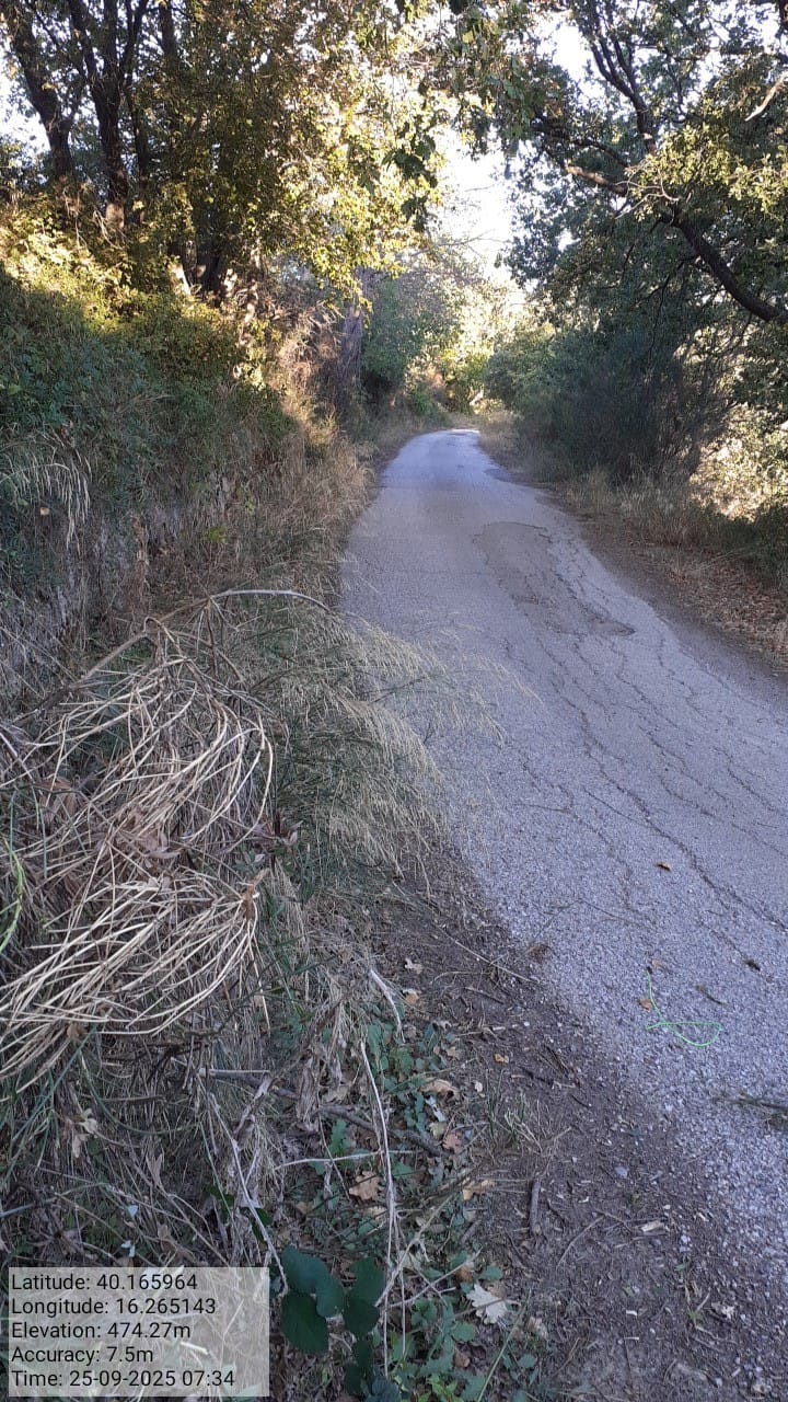 Galleria Fotografica Immagine