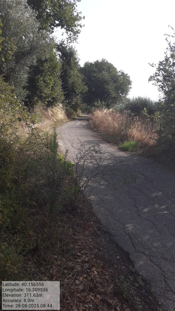 Galleria Fotografica Immagine