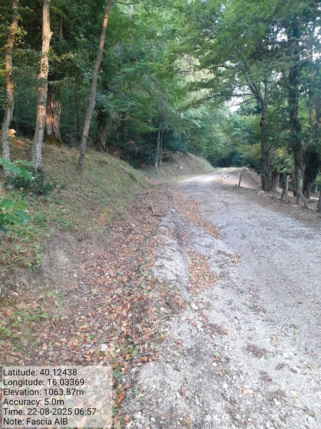 Galleria Fotografica Immagine