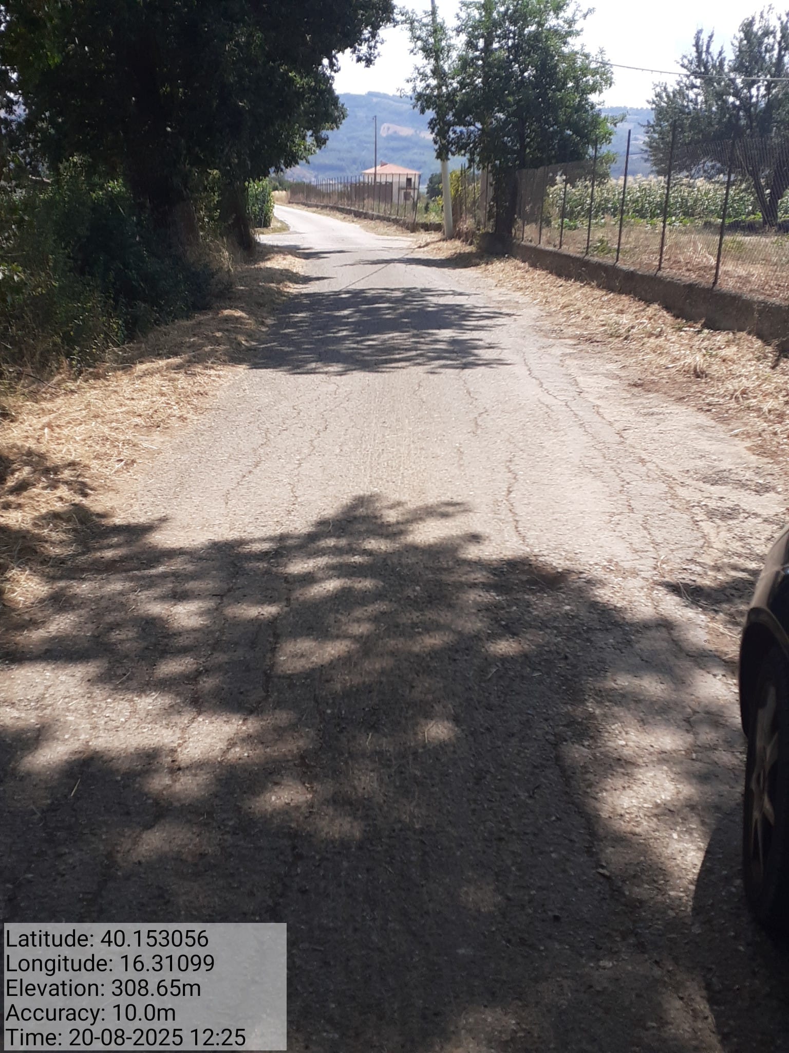 Galleria Fotografica Immagine