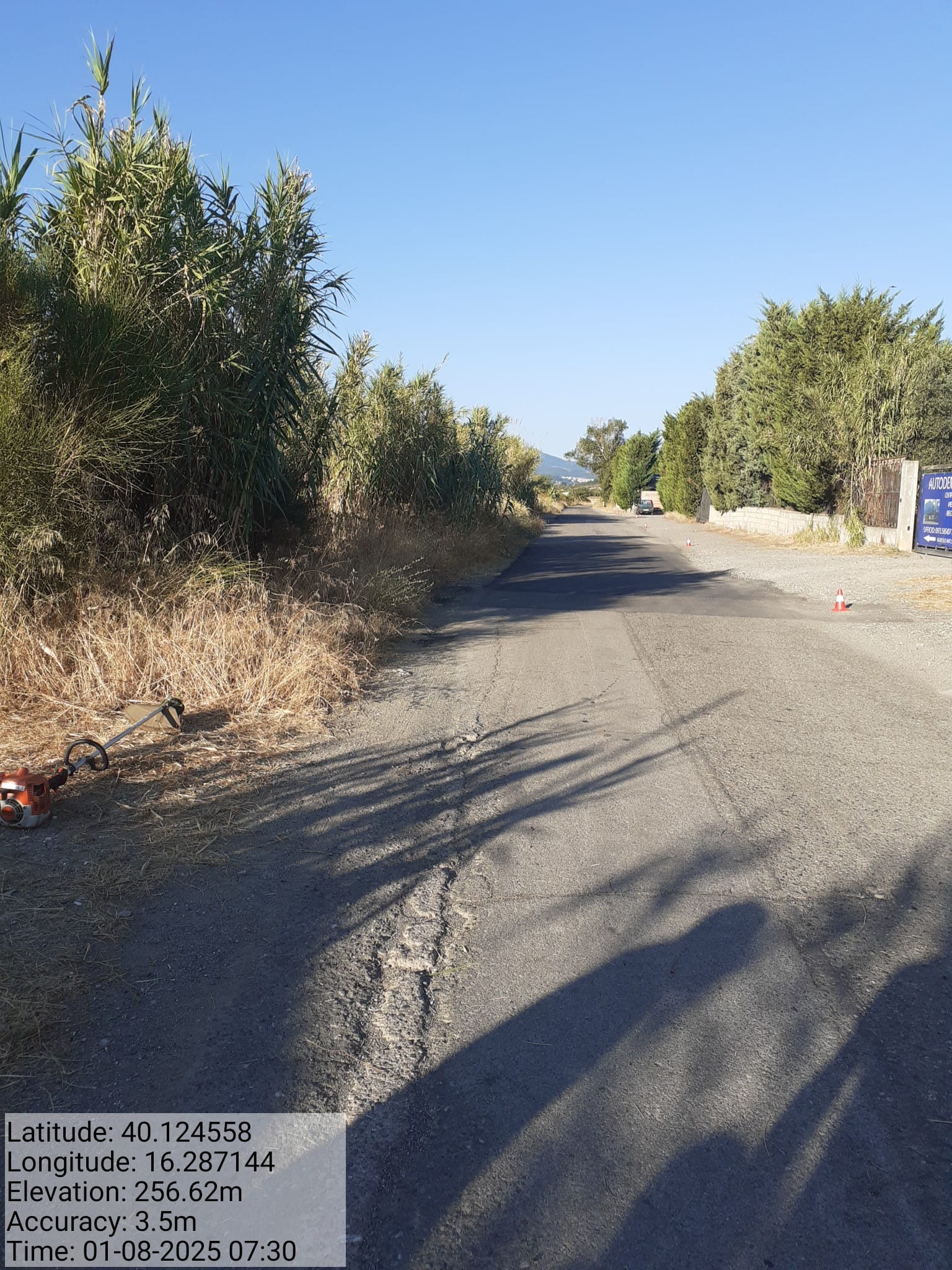 Galleria Fotografica Immagine