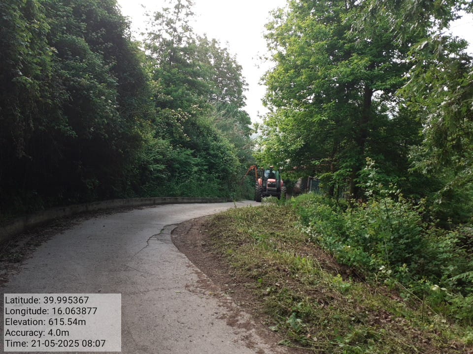 Galleria Fotografica Immagine