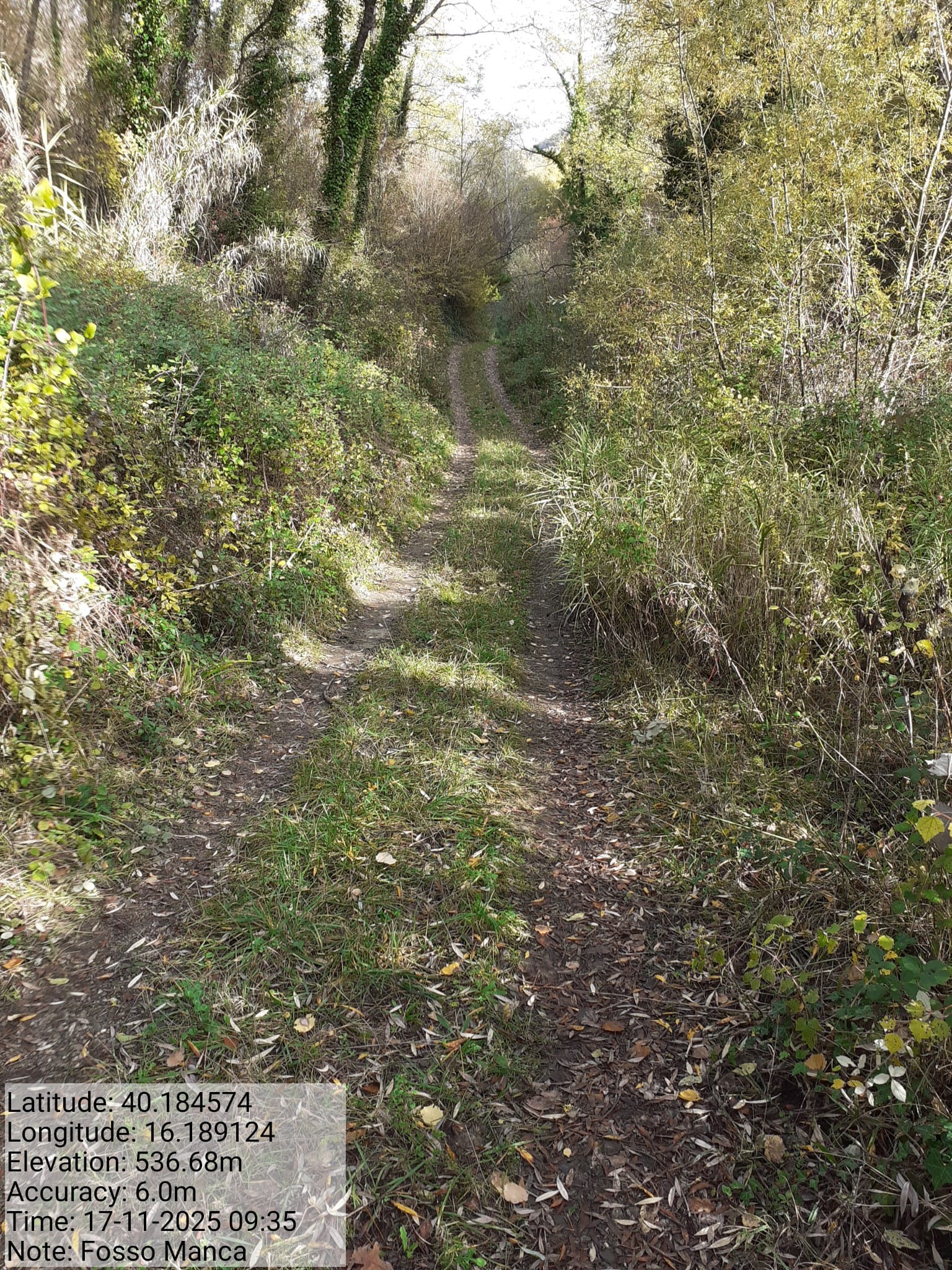 Galleria Fotografica Immagine