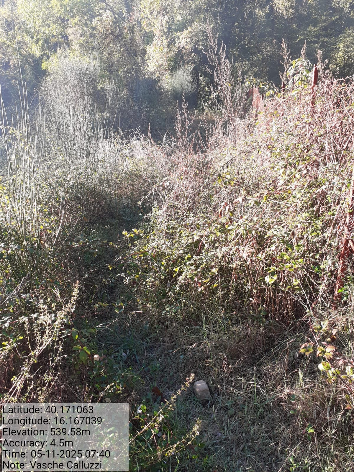 Galleria Fotografica Immagine