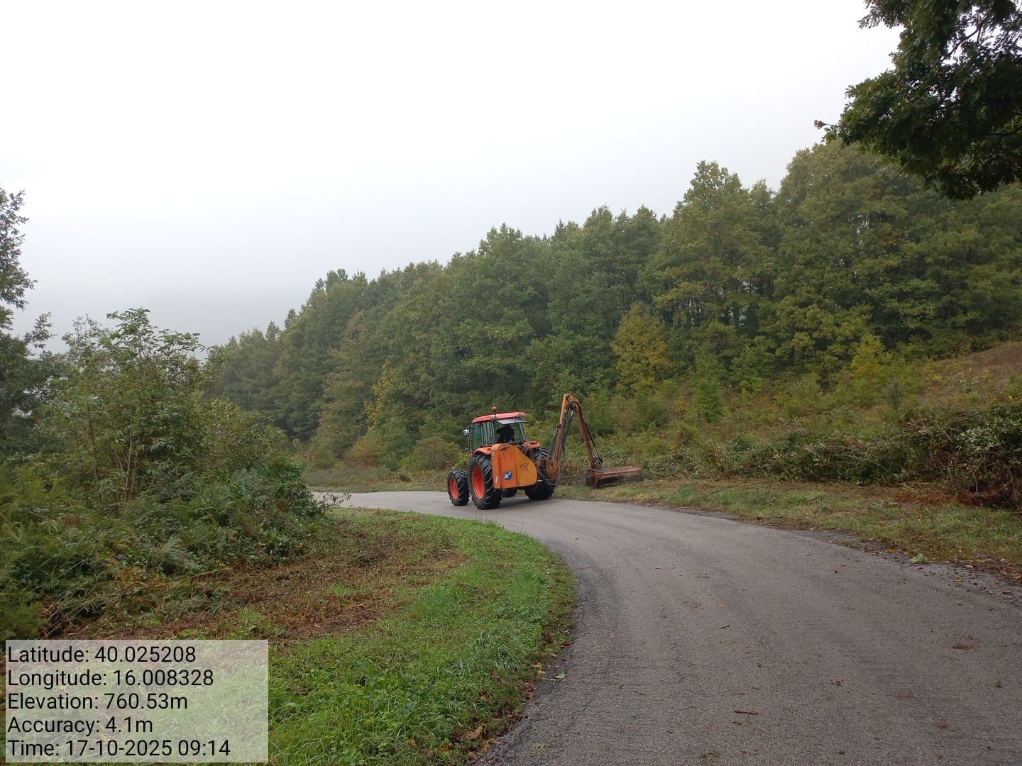 Galleria Fotografica Immagine