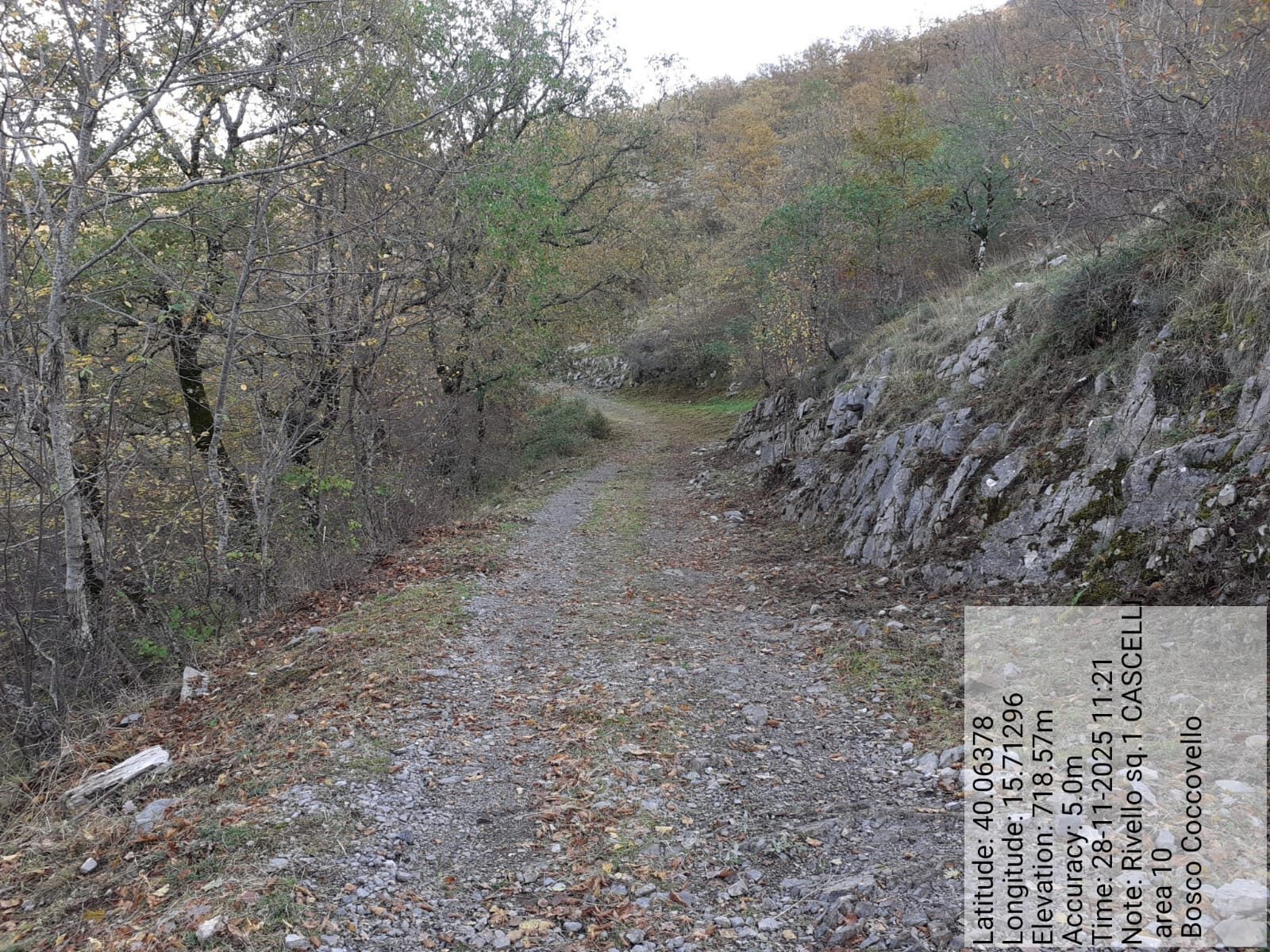 Galleria Fotografica Immagine