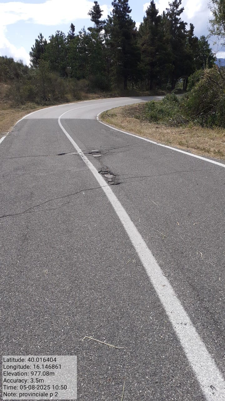 Galleria Fotografica Immagine