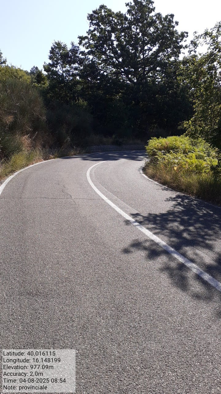 Galleria Fotografica Immagine