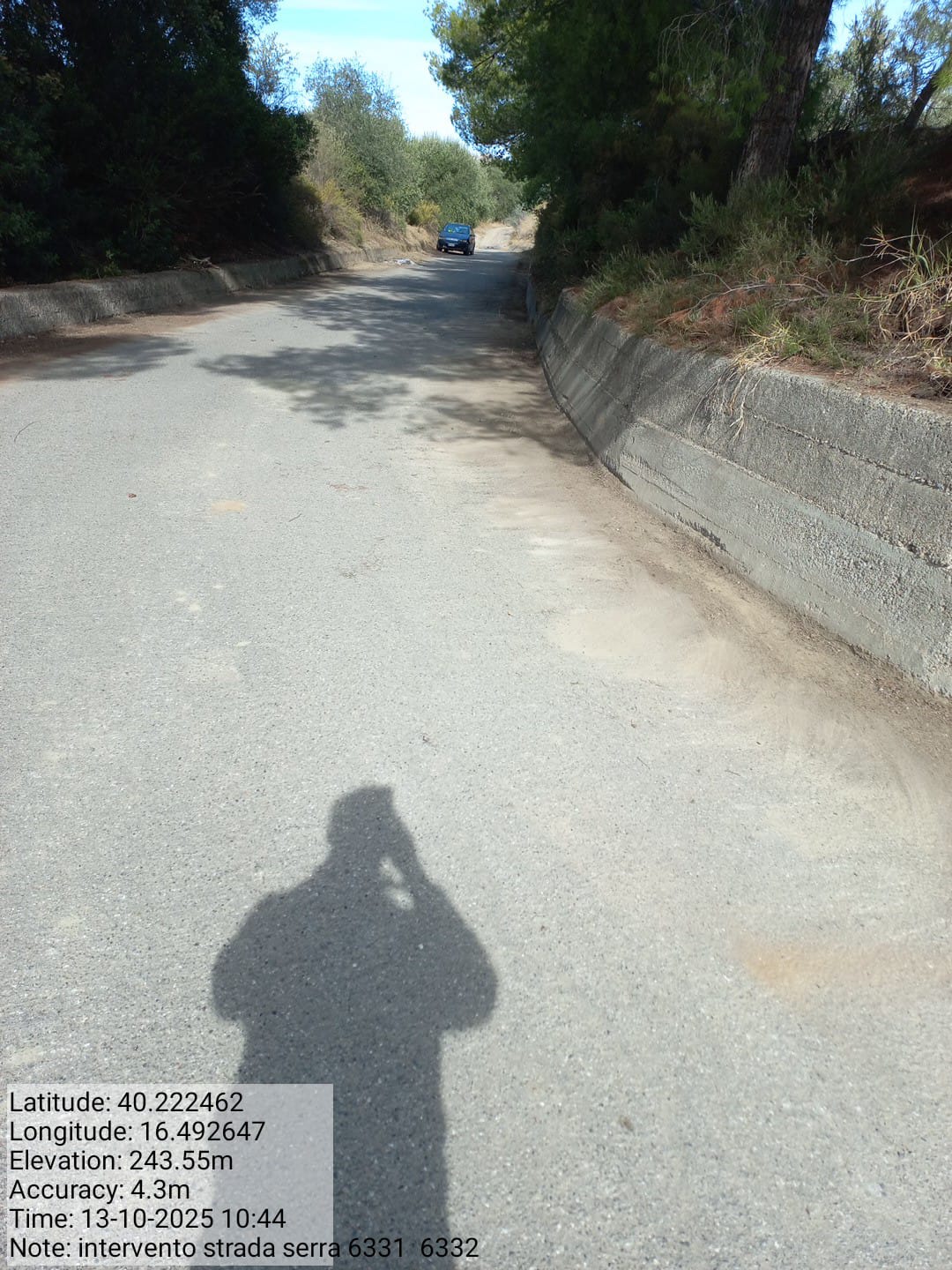 Galleria Fotografica Immagine