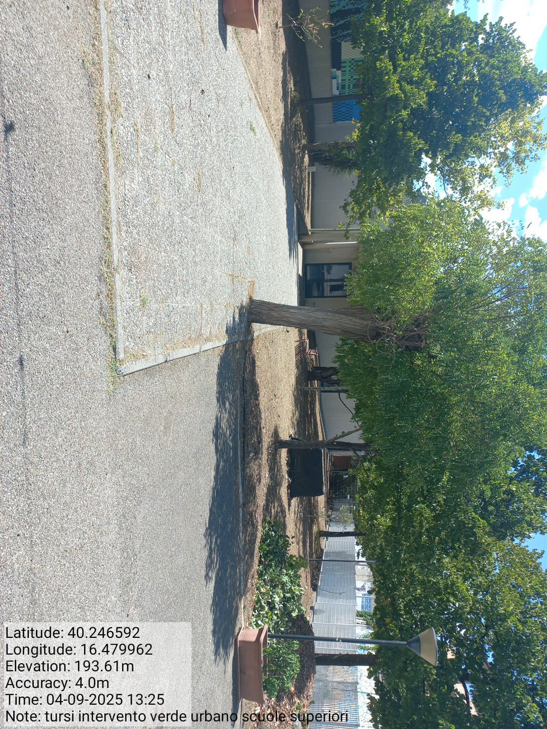 Galleria Fotografica Immagine