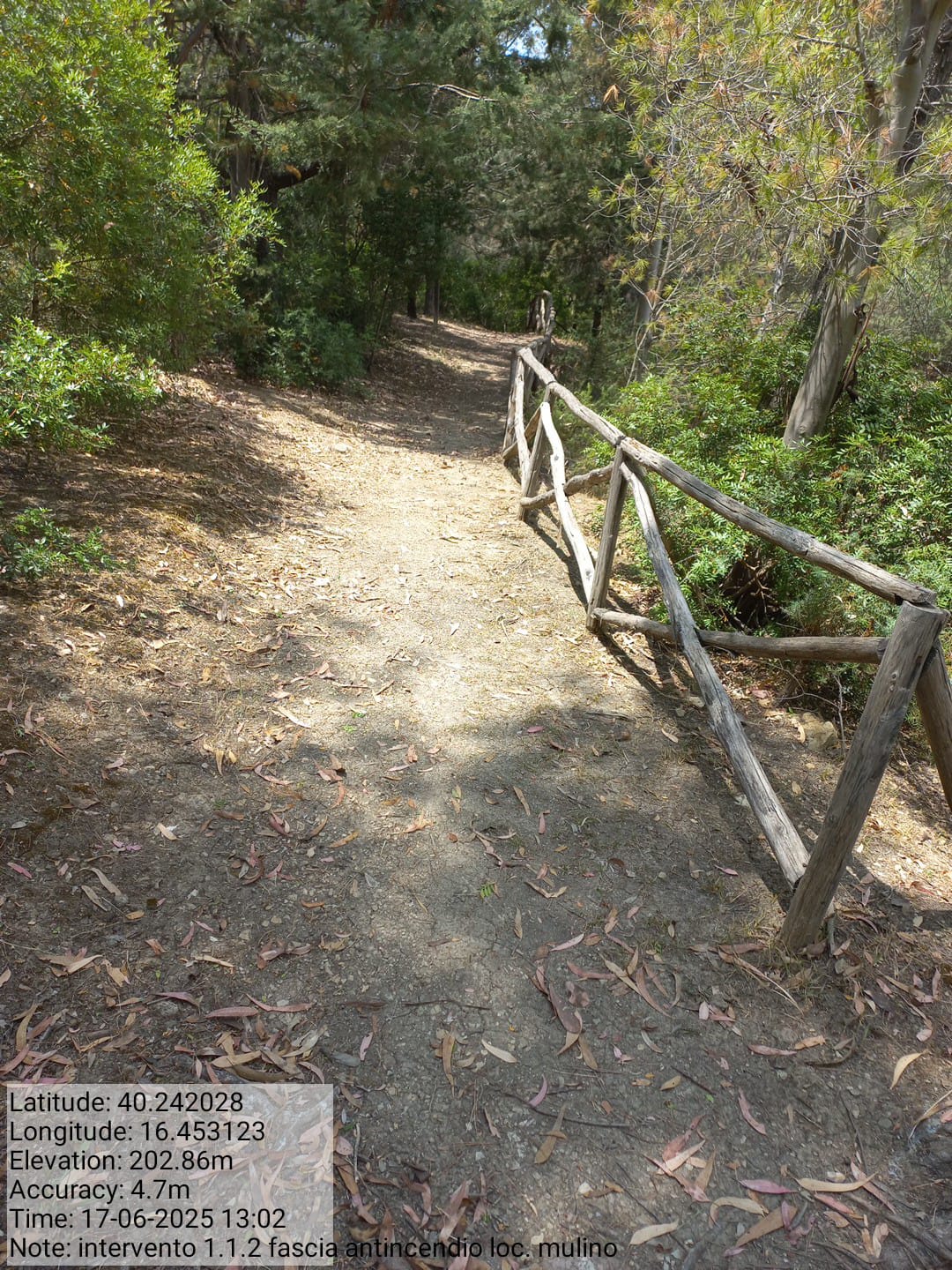 Galleria Fotografica Immagine