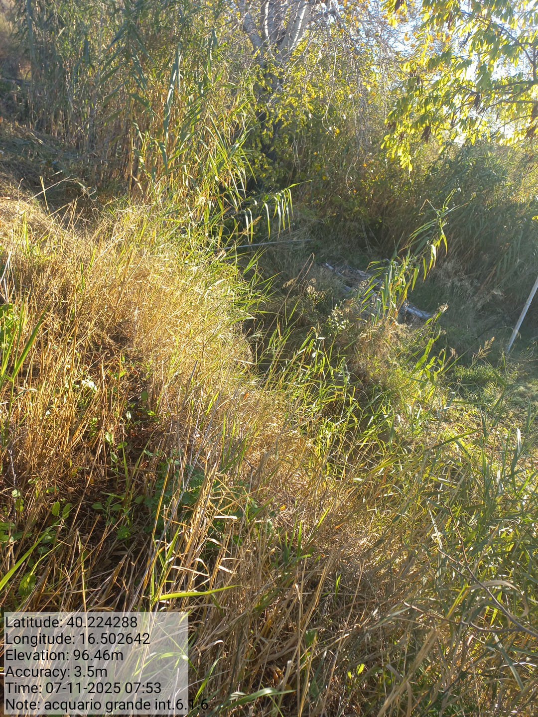 Galleria Fotografica Immagine