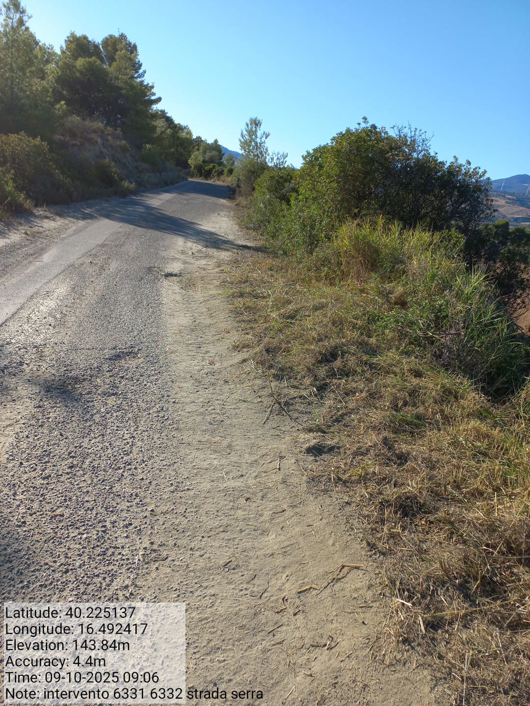 Galleria Fotografica Immagine