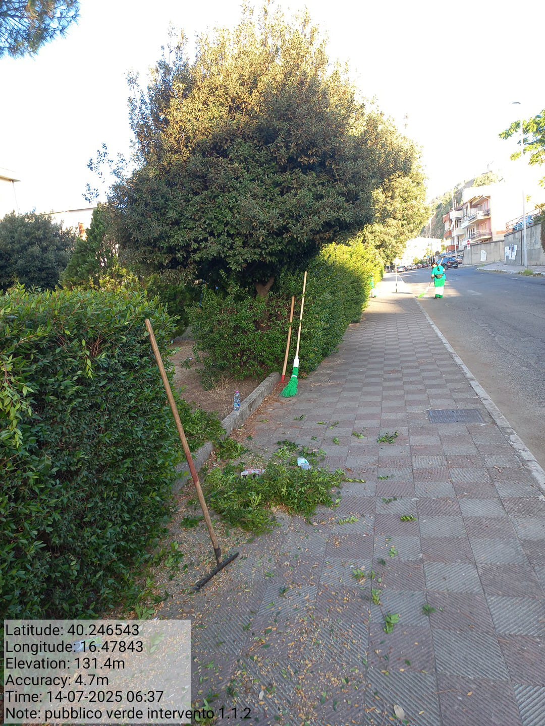 Galleria Fotografica Immagine