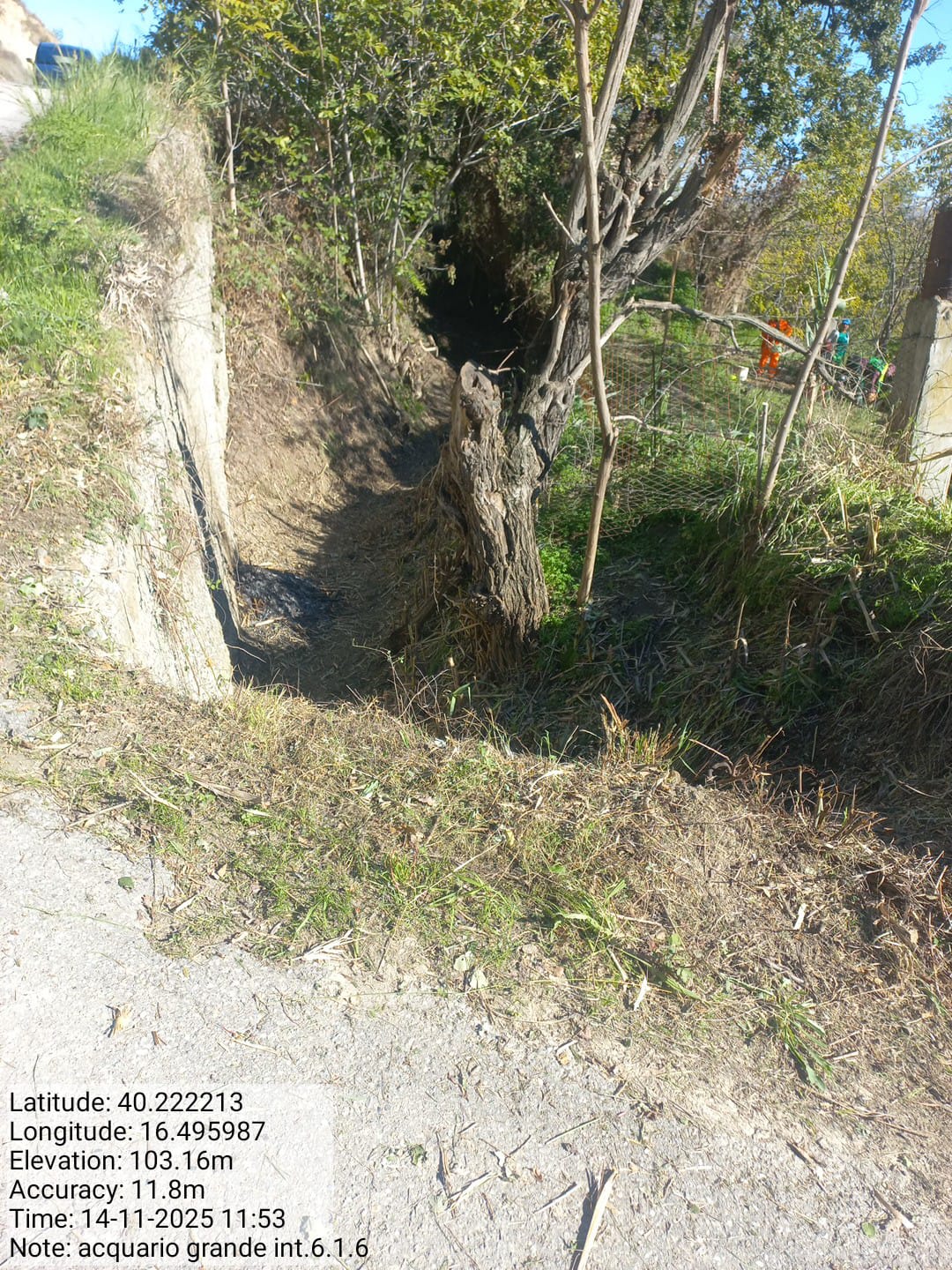 Galleria Fotografica Immagine