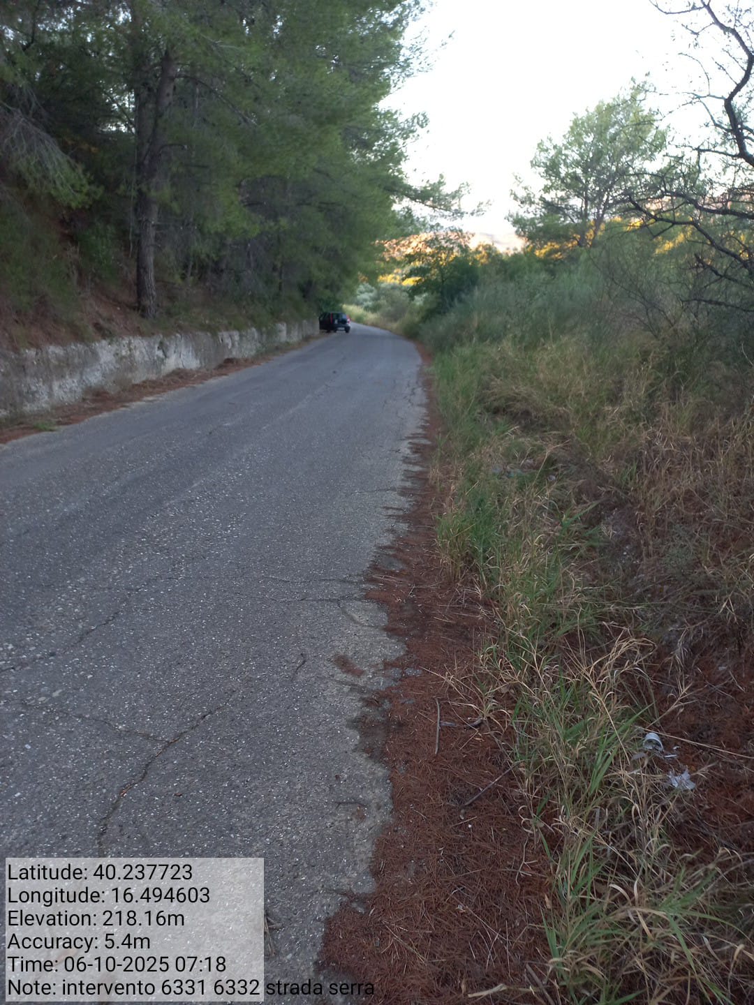 Galleria Fotografica Immagine