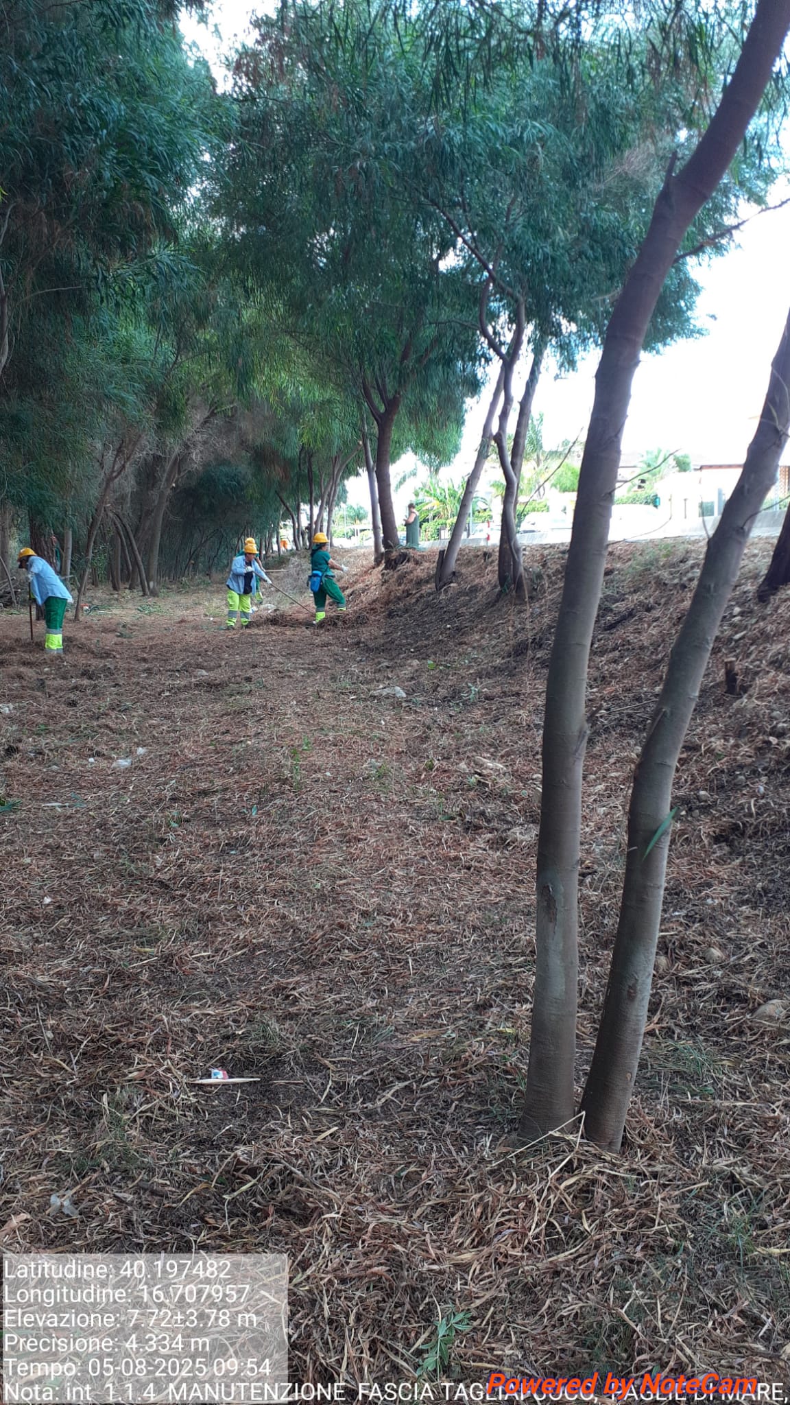 Galleria Fotografica Immagine