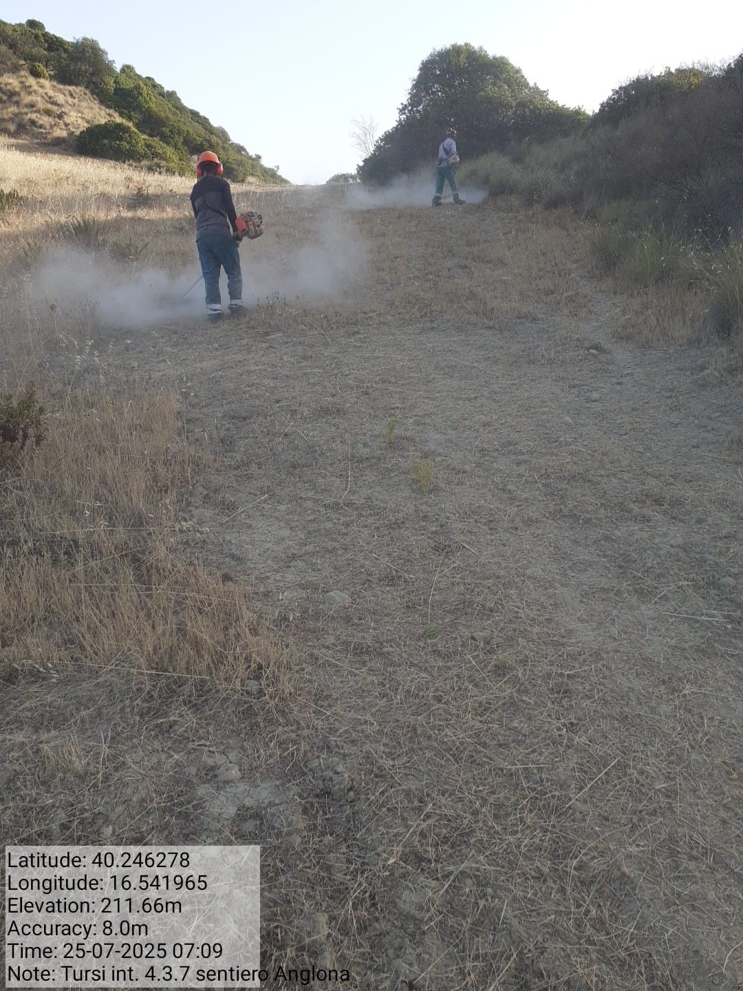 Galleria Fotografica Immagine