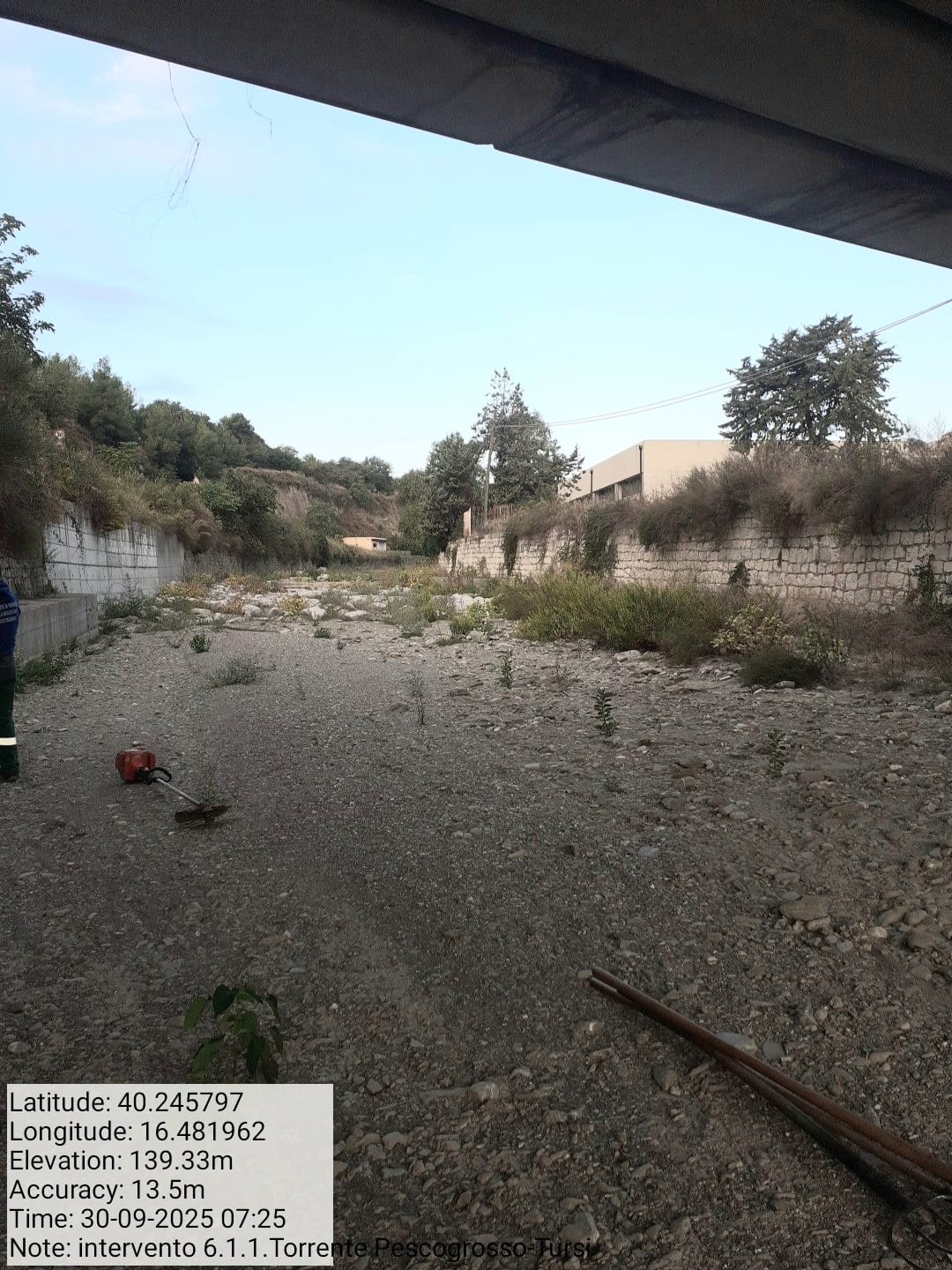 Galleria Fotografica Immagine