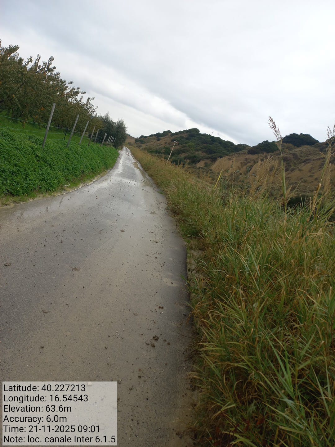 Galleria Fotografica Immagine