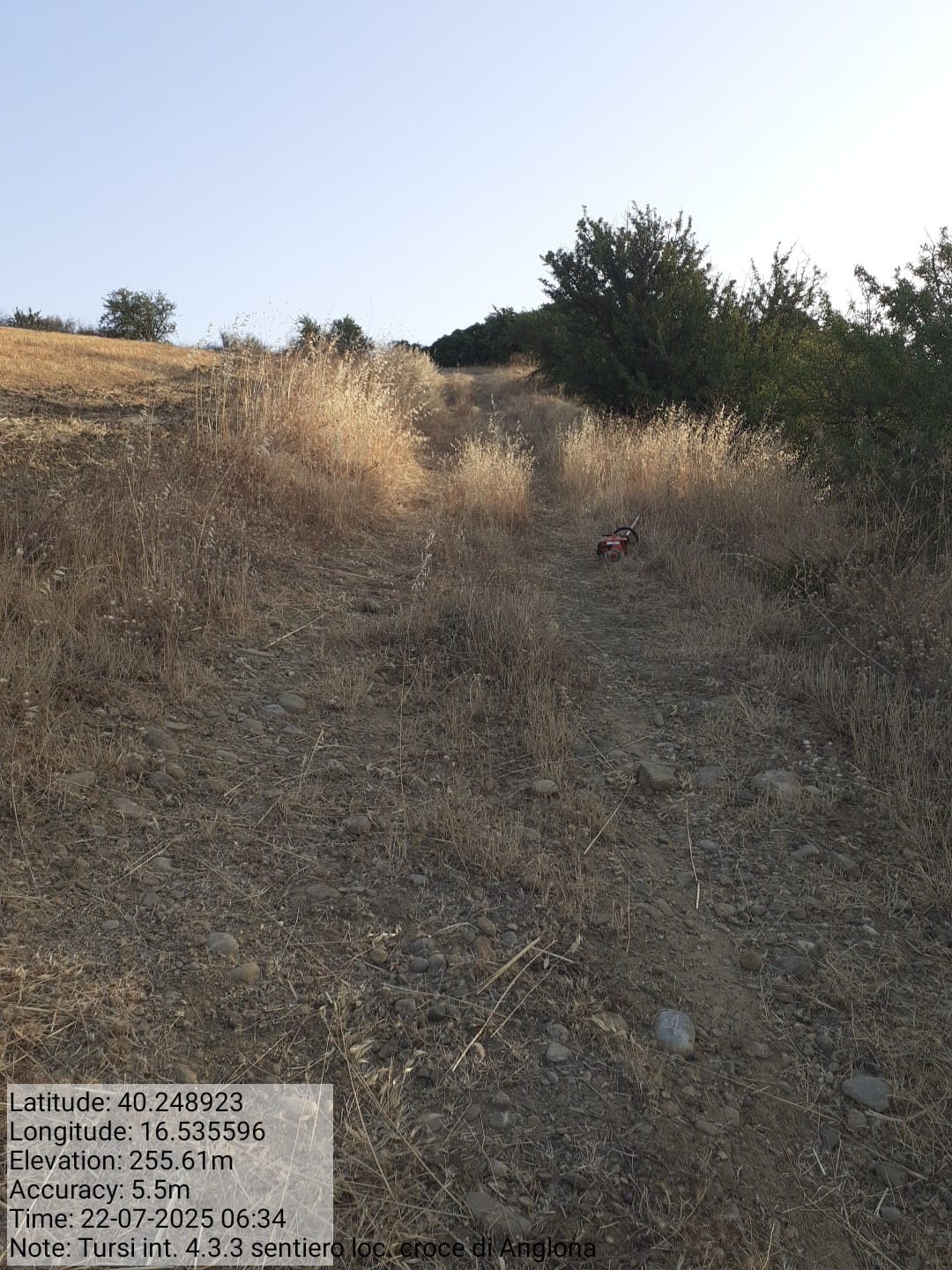 Galleria Fotografica Immagine