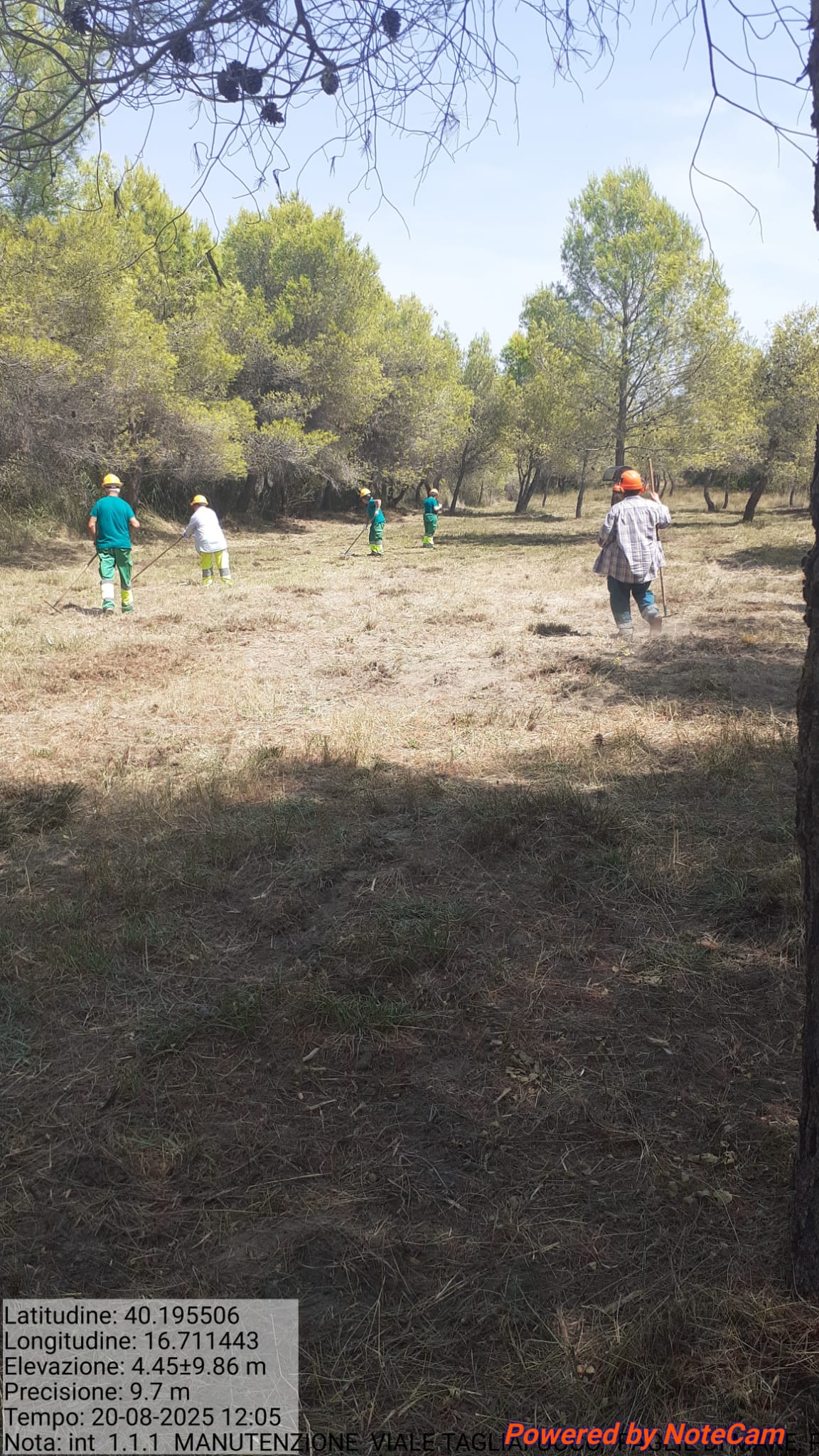 Galleria Fotografica Immagine