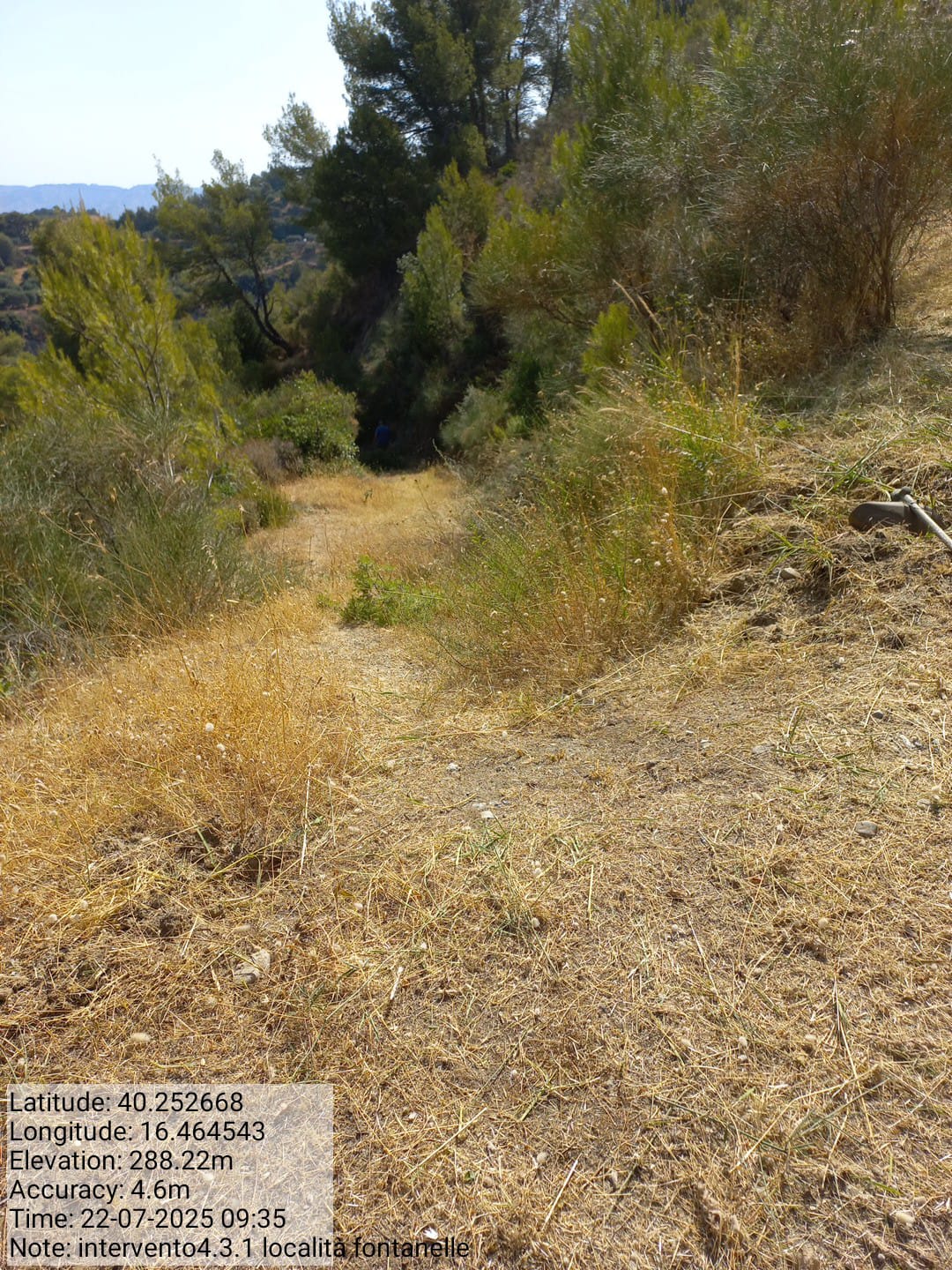 Galleria Fotografica Immagine