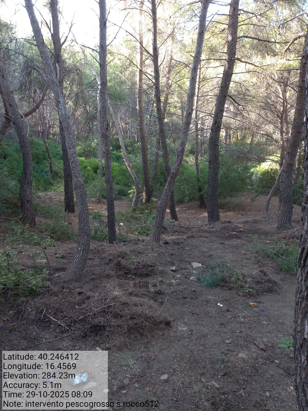 Galleria Fotografica Immagine