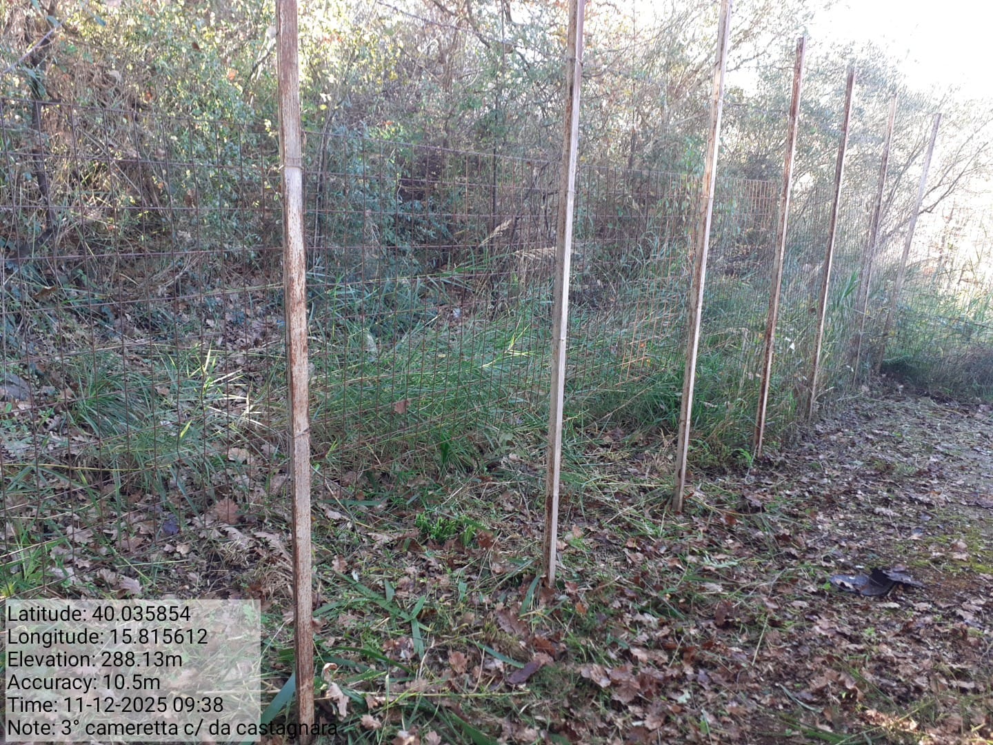 Galleria Fotografica Immagine