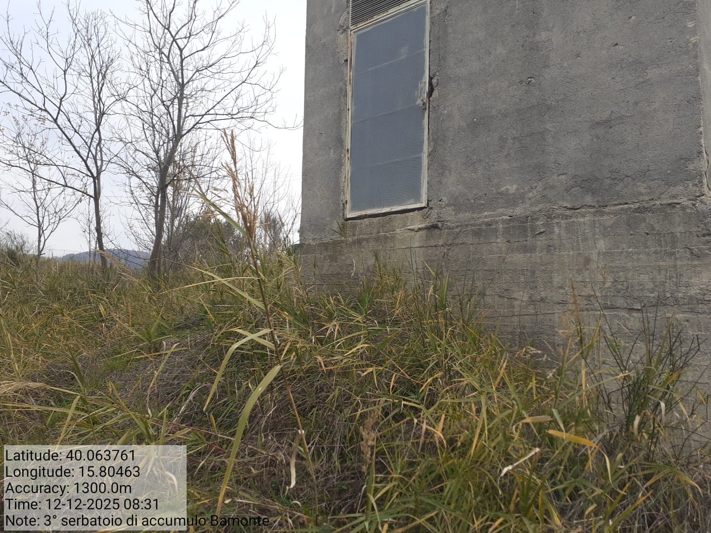 Galleria Fotografica Immagine