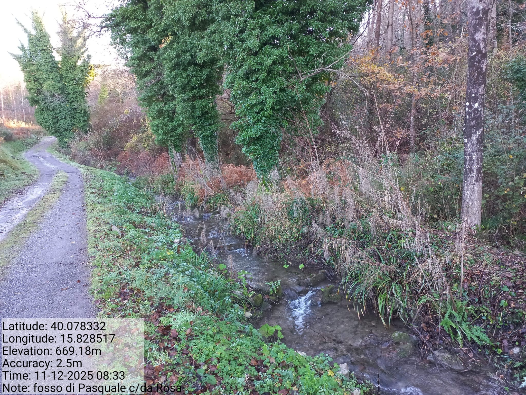 Galleria Fotografica Immagine