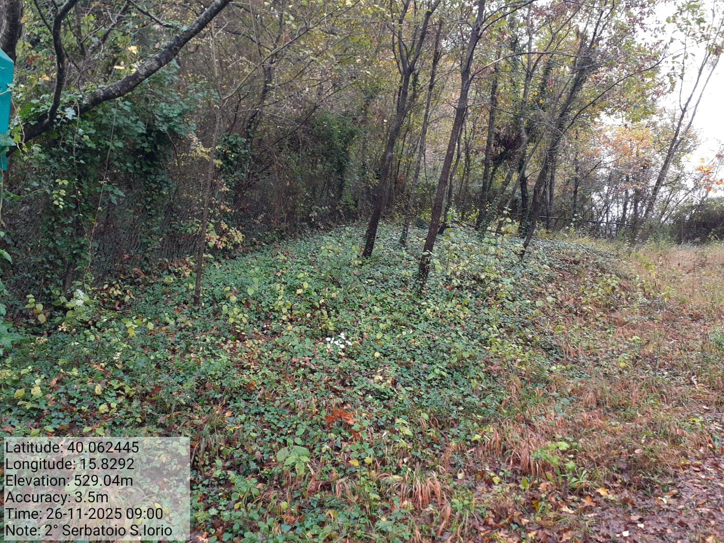 Galleria Fotografica Immagine