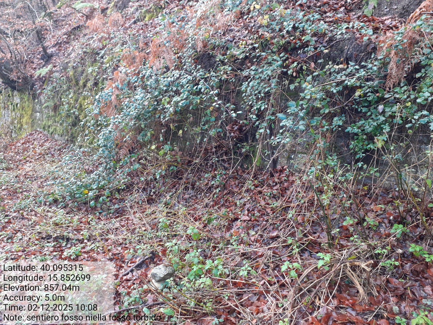 Galleria Fotografica Immagine