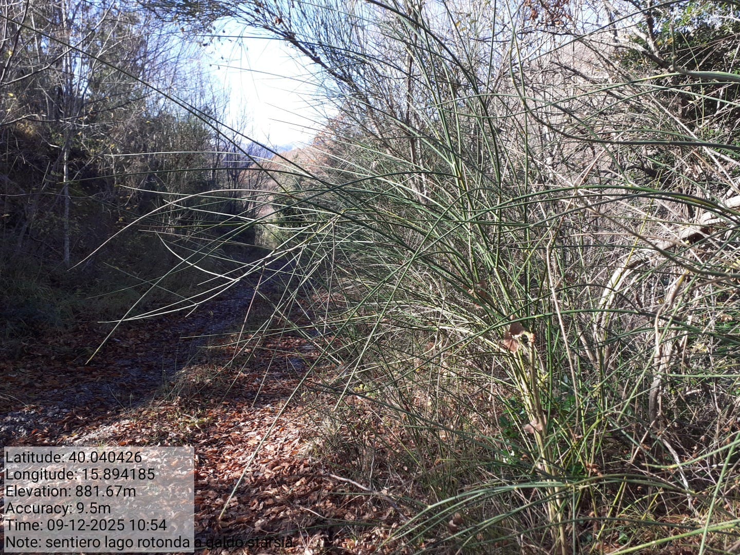 Galleria Fotografica Immagine