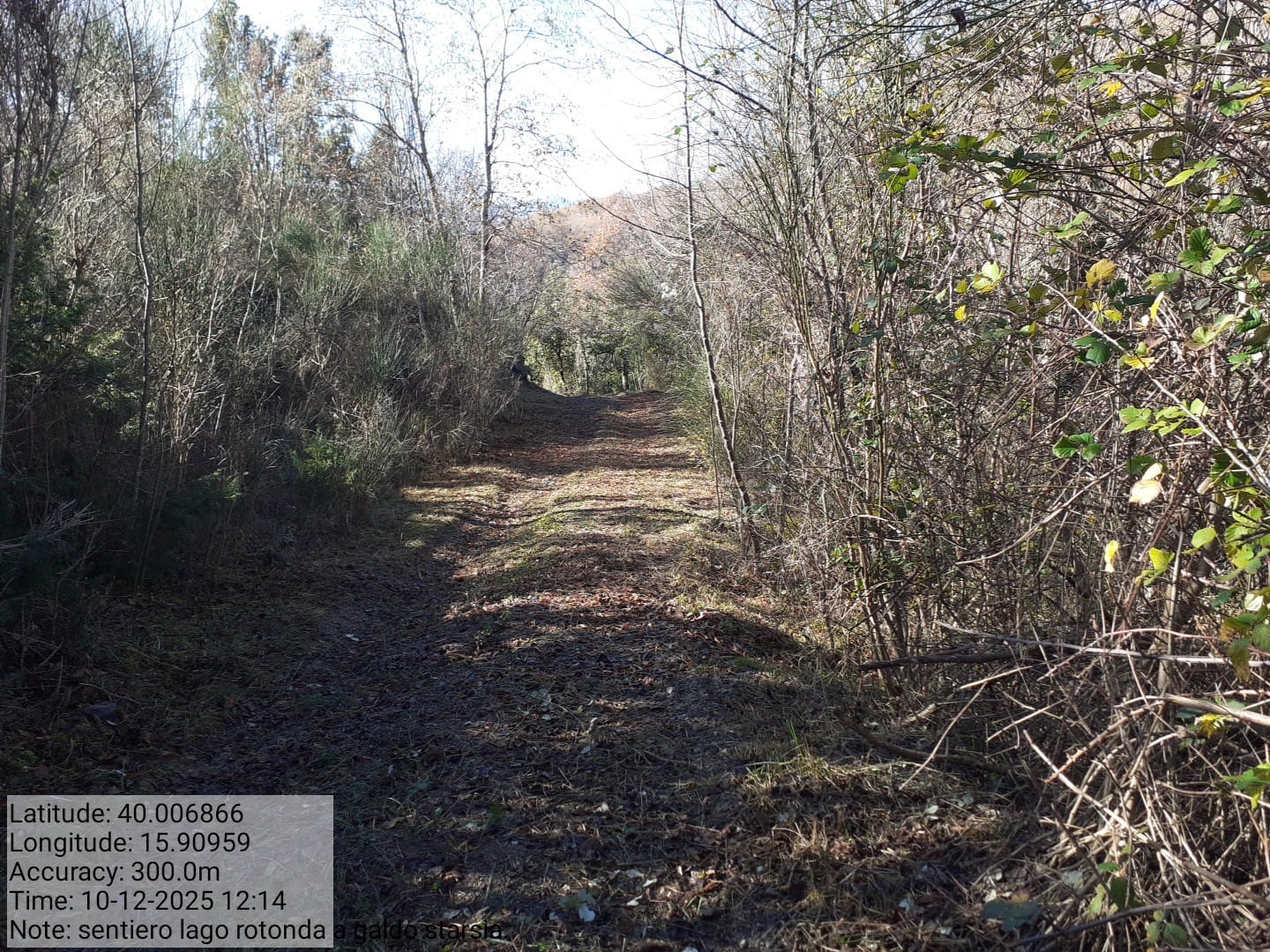 Galleria Fotografica Immagine