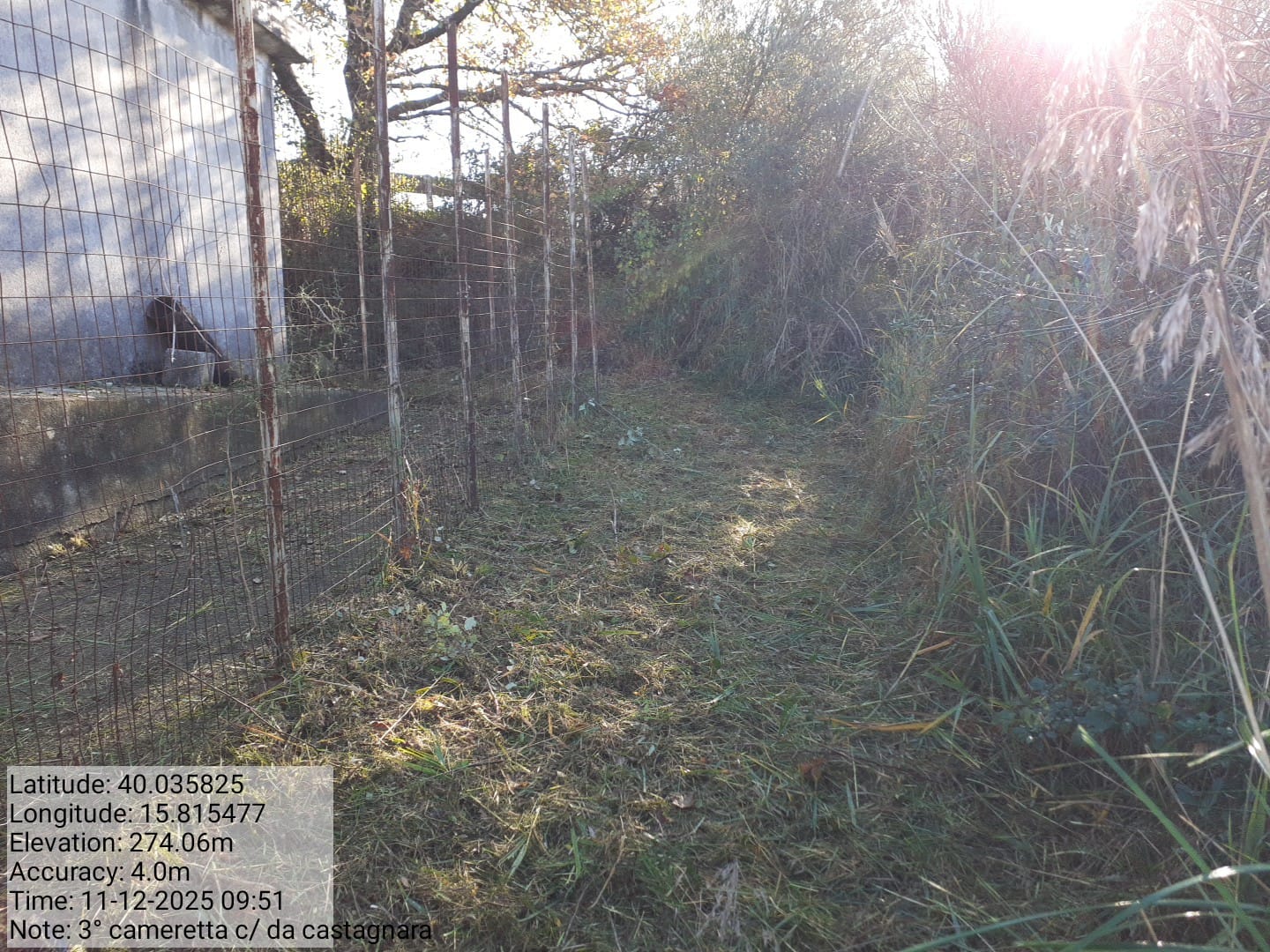 Galleria Fotografica Immagine