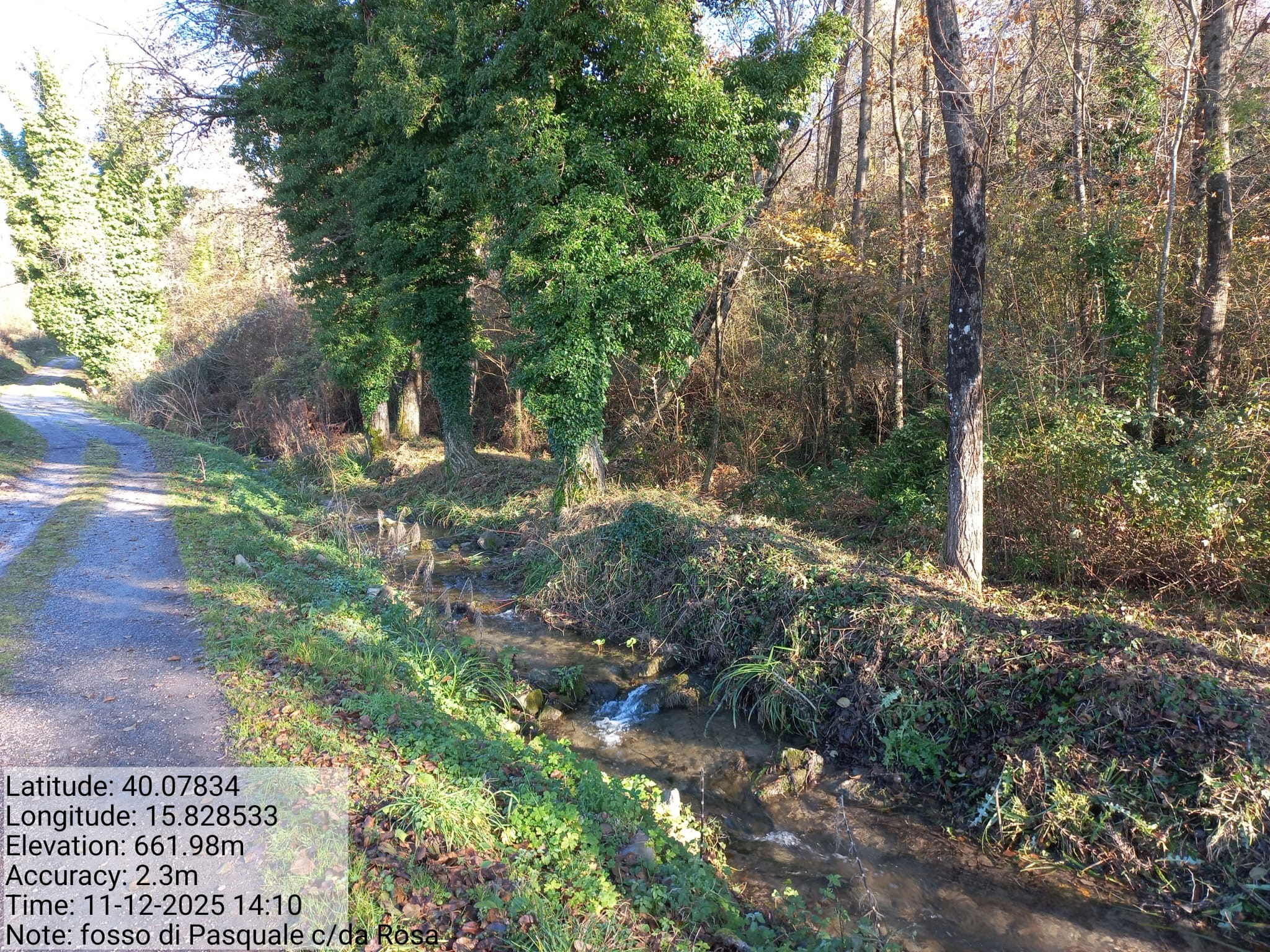 Galleria Fotografica Immagine