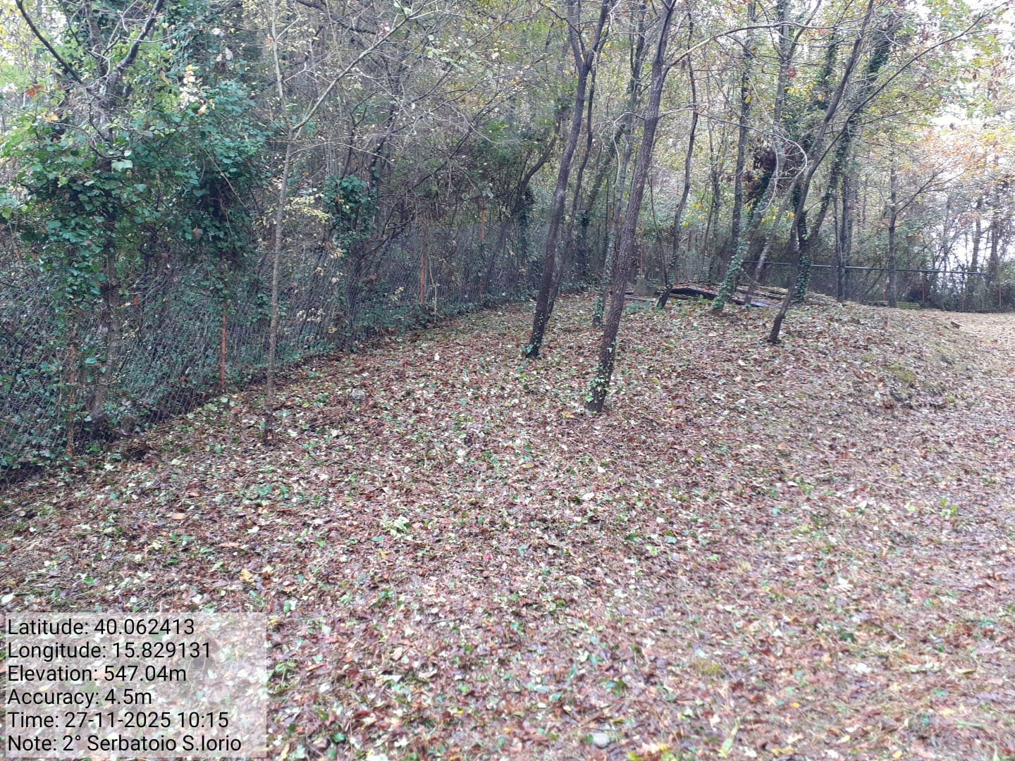 Galleria Fotografica Immagine