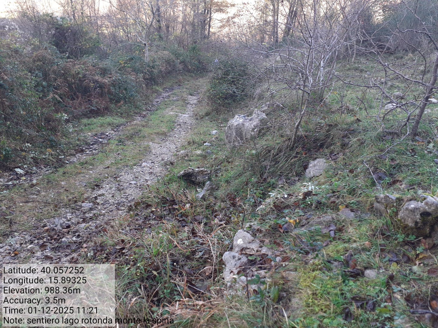 Galleria Fotografica Immagine