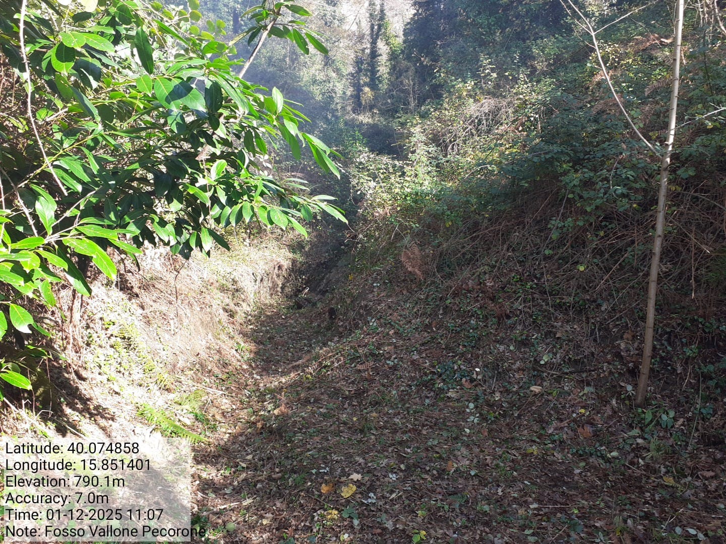 Galleria Fotografica Immagine