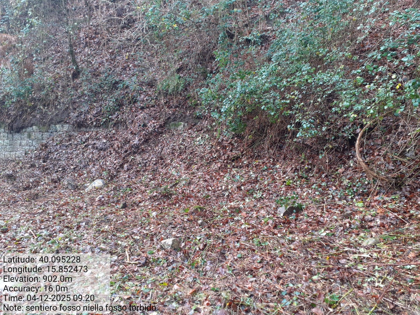 Galleria Fotografica Immagine