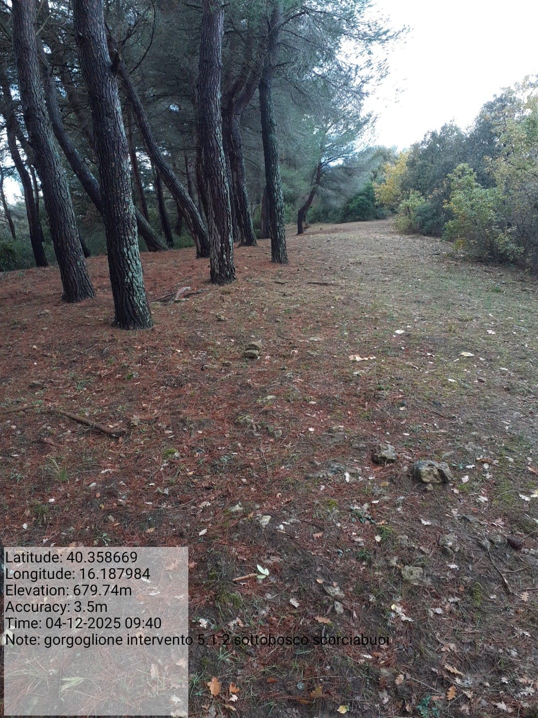 Galleria Fotografica Immagine