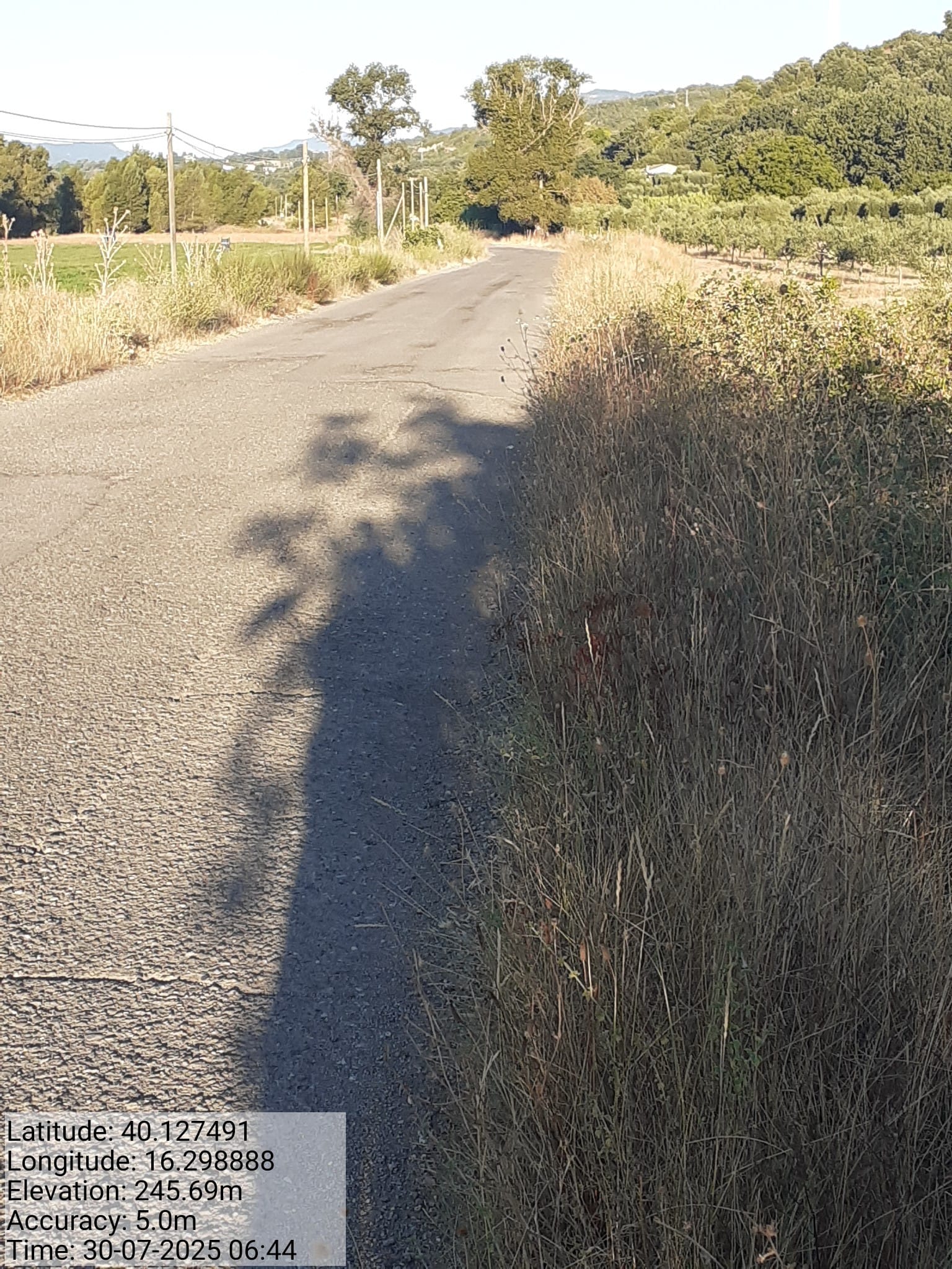 Galleria Fotografica Immagine