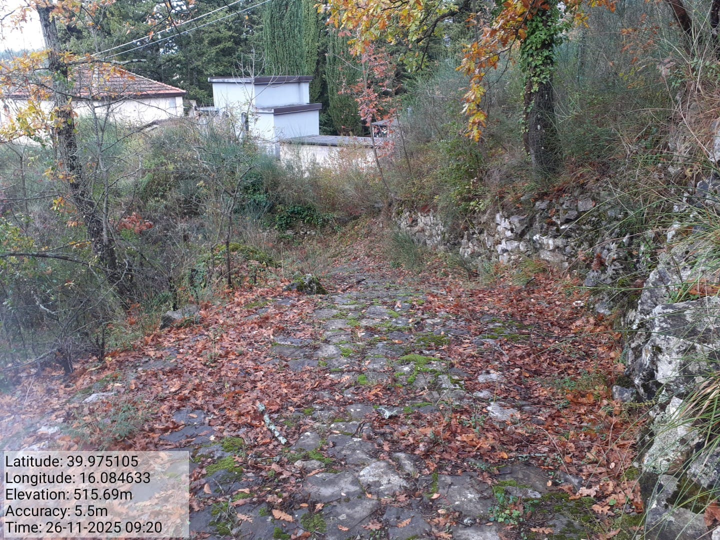 Galleria Fotografica Immagine