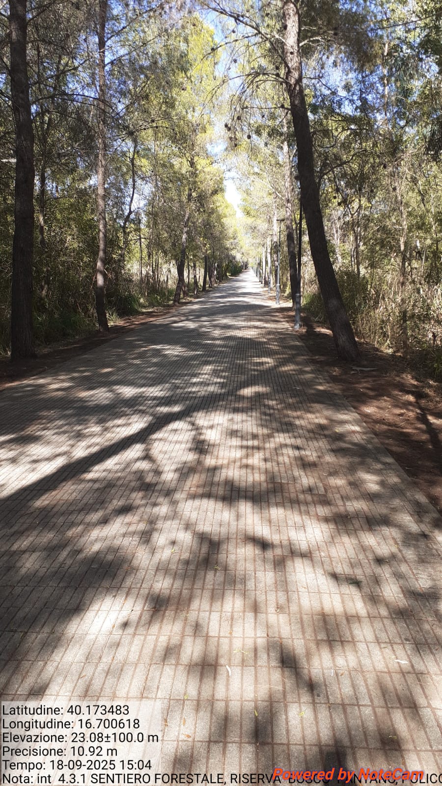 Galleria Fotografica Immagine