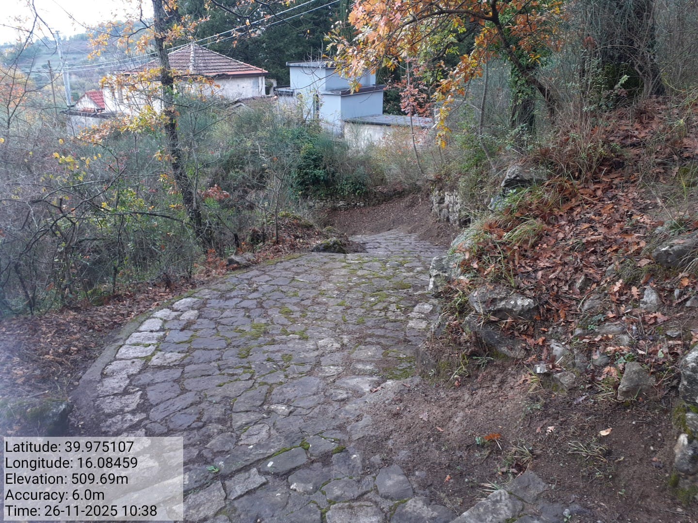 Galleria Fotografica Immagine