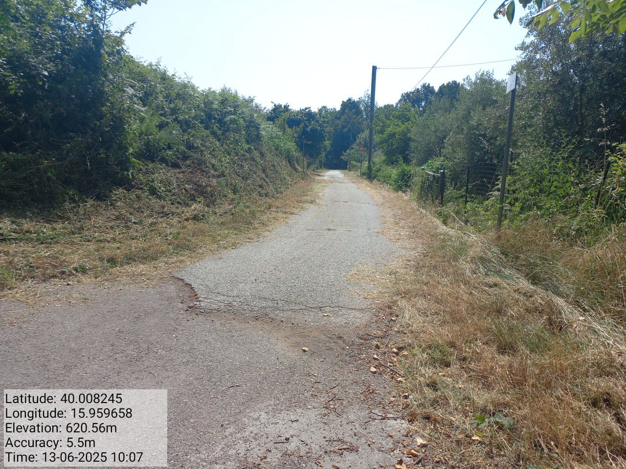 Galleria Fotografica Immagine