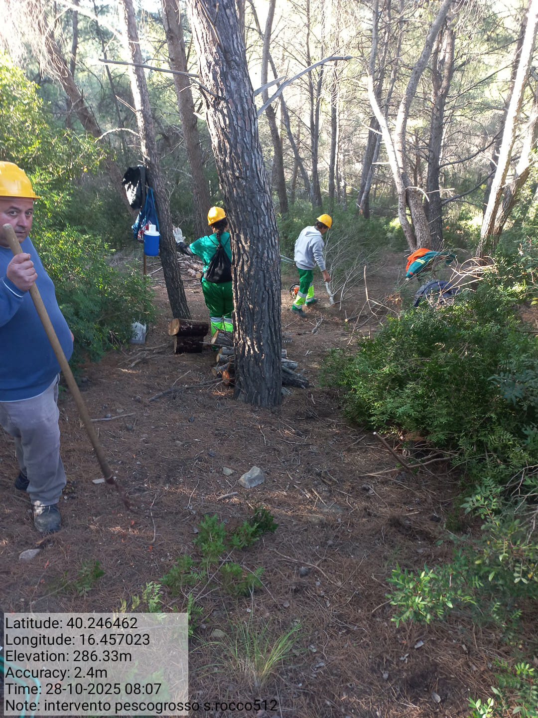 Galleria Fotografica Immagine